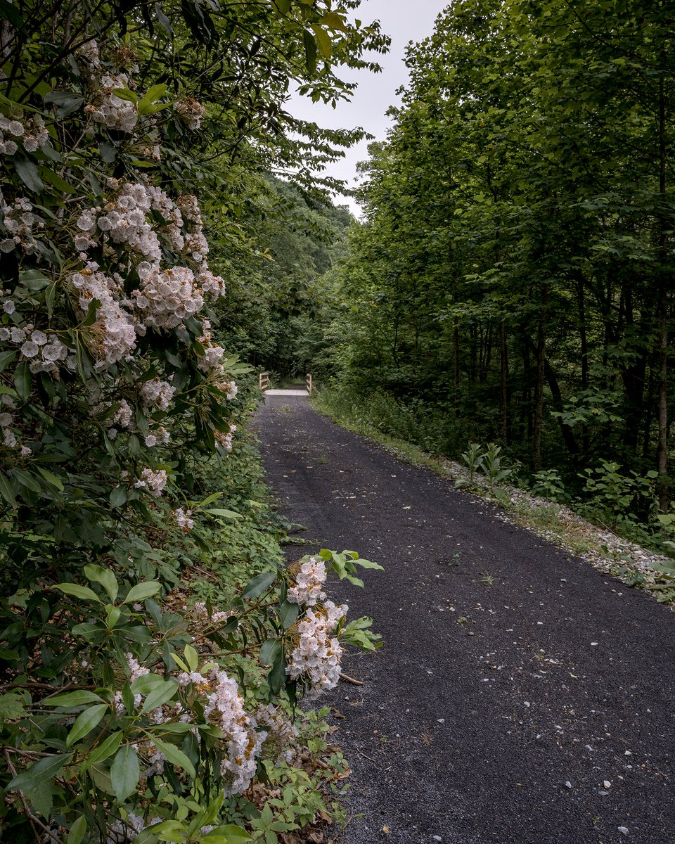 Today is a good day for a #NatureChallenge to get outside, take a deep breath and enjoy the natural beauty around you. Whether you're hiking, fishing or porch sitting, let nature inspire you today. #AlmostHeaven #WestVirginia