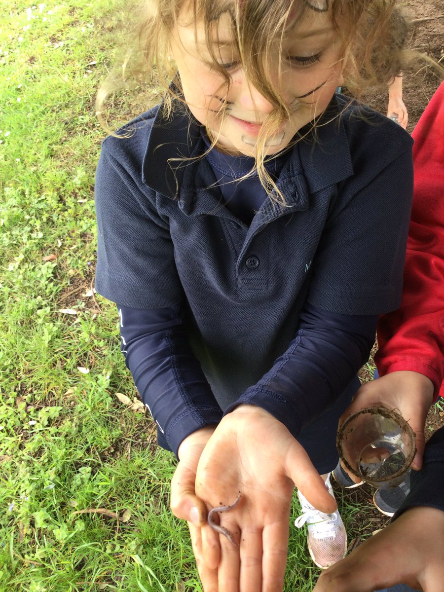 MonktonYear1's tweet photo. Bug hunting!! Many creepy crawlies were discovered! 🕷🪳🪲🐜 #WildMonkton https://t.co/aJXv8RbnnA