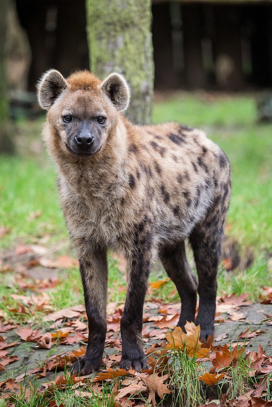 HourlyYeen's tweet photo. [🔗](https://t.co/6jbu2e8iau) https://t.co/4bX56bqk8o