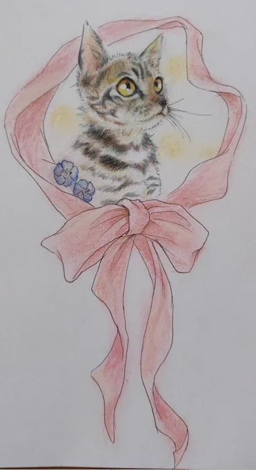 #ツイッターを猫で埋め尽くす #イラスト #猫