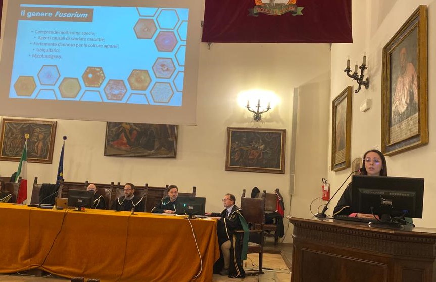 enniatin's tweet photo. Congratulations to Dr. Claudia Camplone for obtaining her master's degree by discussing the thesis "Effect of the mycotoxins ENB and DON on the in vitro development and in the in vivo competition of different causal agents of Fusarium head blight of wheat". https://t.co/sSI2EQ27Ah