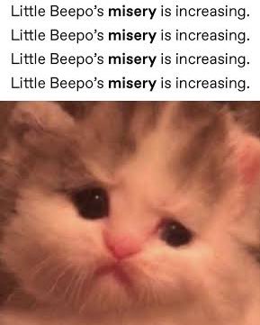 Matt, Hats in Hiding tweet media