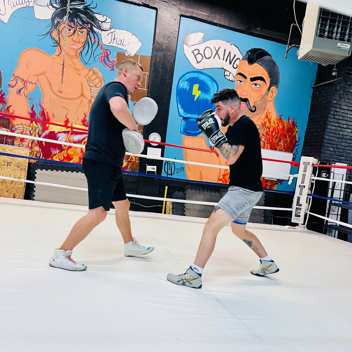 WNYMMAFitness's tweet image. New boxing ring looks phenomenal. Come help us break it in! #boxing #boxingring #victoryboxing #wnymma #teamwnymma #newphonewhodis