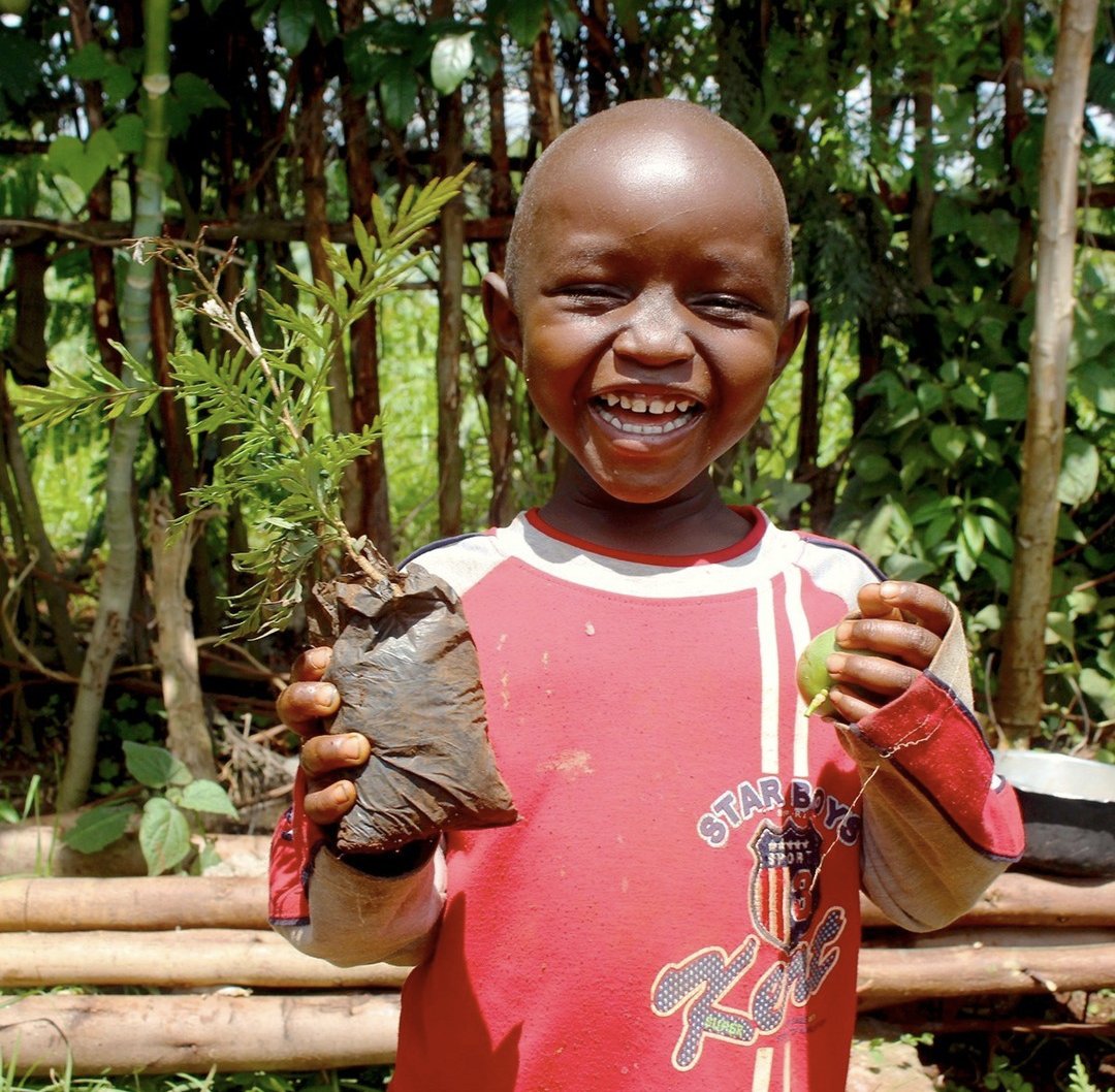 ArdentYouths's tweet photo. Some trees produce thousands of seeds which can lead to a massive reproduction process in just a few years. Therefore, even through planting a single tree, your simple act can really help and assist the environment and all the animals that depend on it.
#BeingGreen #EcoFriendly https://t.co/o55g9zPyQ4