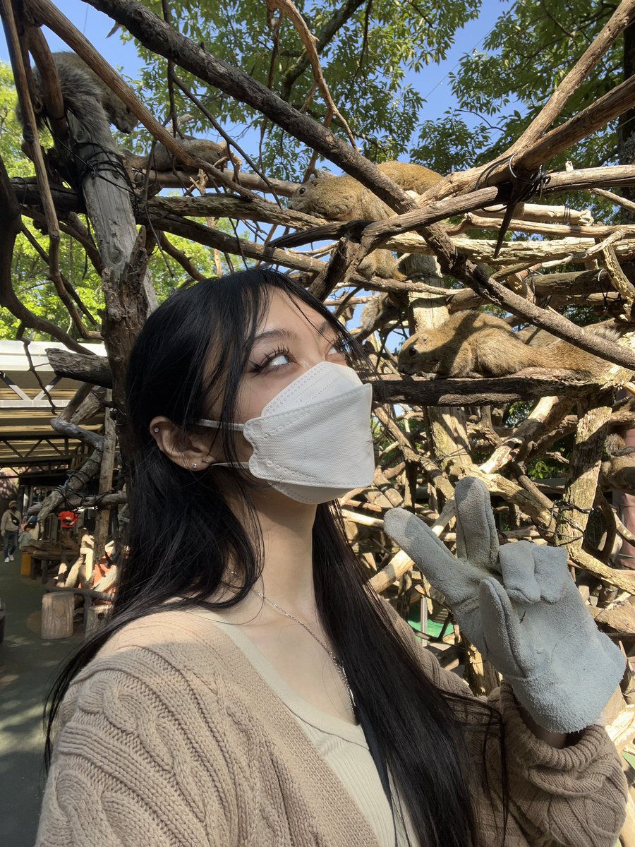 ikari_alt's tweet photo. Unbothered. Moisturised. In my squirrel kingdom. https://t.co/FcjblAjHPh