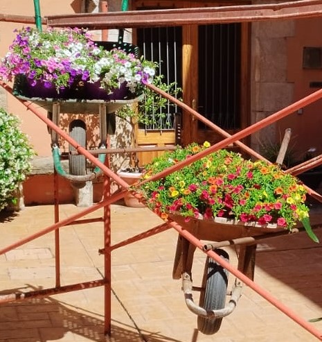GrupArmangue's tweet photo. “El Pati Armangué” ha format part dels quaranta-set espais ornamentats amb flors naturals i plantes, que s’han pogut visitar a Celrà en la 22a edició de "Passejant pels patis". #FestaMajor
#Armangue #FerrallaDeQualitat #GrupArmangue #Celrà #Girona #Catalunya #Ferralla https://t.co/ipz1UXmD8I