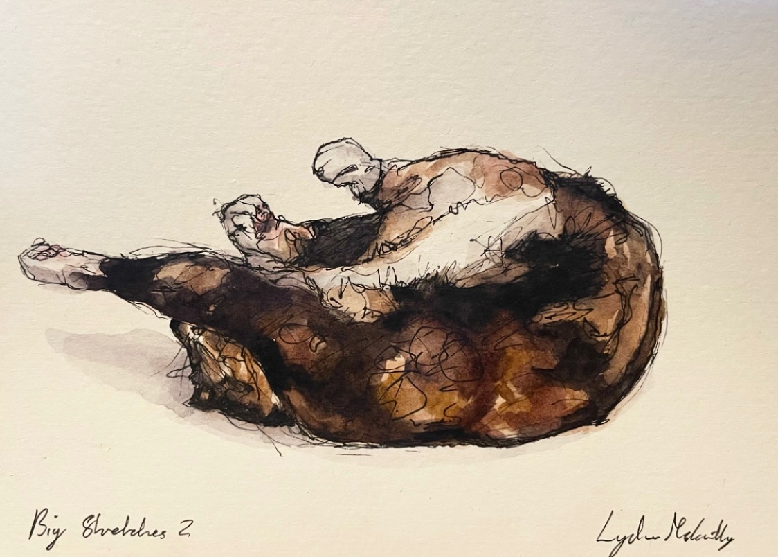 LydiaMcC414141's tweet photo. Captured the Cat doing what she’s best at…
‘Big Stretches’, pen and watercolour 🎨 🖊️ 

#watercolours #painting #cats #calico #calicocats #traditionalart #pen #penandwatercolor #drawing #penandwash #penandwatercolour #illustration https://t.co/6d3Njpz2un