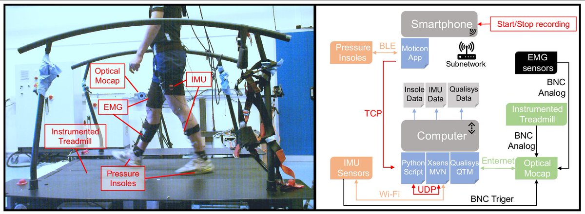 Delsys (@delsysinc) on Twitter photo Integration overload!
Fantastic paper assessing conventional lab-based systems (@qualisysab <a href="/MotekMedical/">Motek Medical B.V.</a>) against portable solutions (<a href="/MovellaHS/">Xsens Health & Sports | Movella</a> <a href="/MoticonScience/">Moticon</a>) for movement analysis 🚶‍♀️
#TrignoEMG combined to evaluate muscle contributions during locomotionđź’Ş
Link below 👇 Integration overload!
Fantastic paper assessing conventional lab-based systems (@qualisysab <a href="/MotekMedical/">Motek Medical B.V.</a>) against portable solutions (<a href="/MovellaHS/">Xsens Health & Sports | Movella</a> <a href="/MoticonScience/">Moticon</a>) for movement analysis 🚶‍♀️
#TrignoEMG combined to evaluate muscle contributions during locomotionđź’Ş
Link below 👇