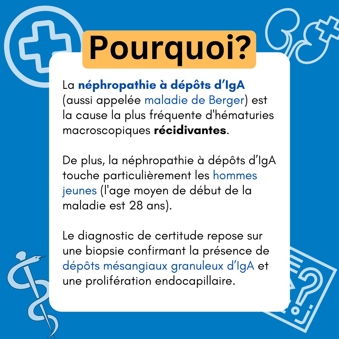 axilioSADM's tweet photo. ⁉️Comme promis, voici la réponse au quiz de la semaine passée. 

Certains ont répondu "une pyélonéphrite", car la question spécifiait "en priorité".  
Les récidives, et le patient (un jeune homme) rendent la pyélonéphrite moins probable, mais une réponse bien justifiée se défend. https://t.co/4bkl5ipCjj