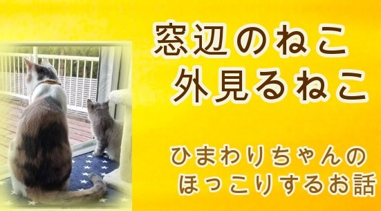 HappyCatStory's tweet photo. ユーチューブ動画【幸せなねこの物語 9話】
保護ねこのめいちゃんが来た時に、ママの気持ちが理解できたひまわりちゃんのほっこりするお話
https://t.co/SGRfZoPUfo 

#ねこ #猫との暮らし #保護猫 #保護猫カフェ #猫好きさんと繋がりたい #猫のいる生活 #猫グッズ #ねこのきもち #譲渡会 #うちの子 https://t.co/6lC5ruSZfy