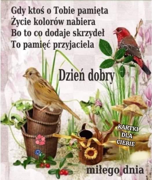 WMonika1965's tweet photo. @Hania1007 Witaj Haniu 🌹🍀❤️😘 https://t.co/f6rBcZOLD7