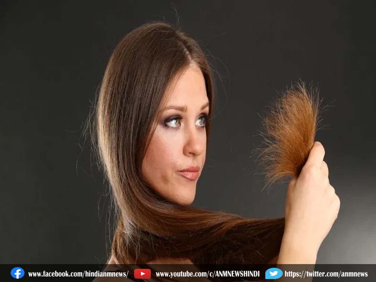 दोमुंहे बालों से छुटकारा पाने के लिए आपनाये ये तरीक़े

anmnewshindi.in/good-health/fo…

#shampoo #deepconditioning #conditioner #splitends #goodhealth #hair #lifestyle #anmnews #latestnews #TodayNews #NewsUpdate