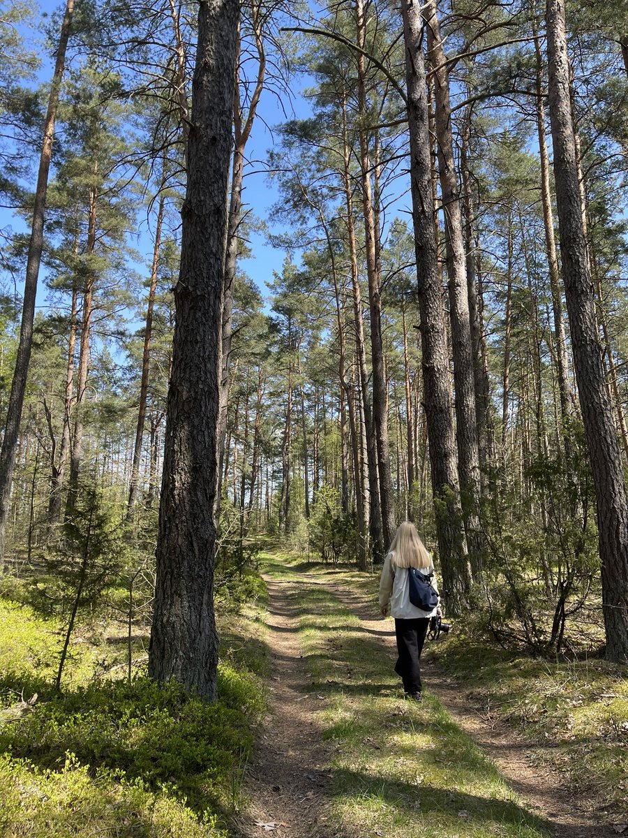 Jake Millers tweet media