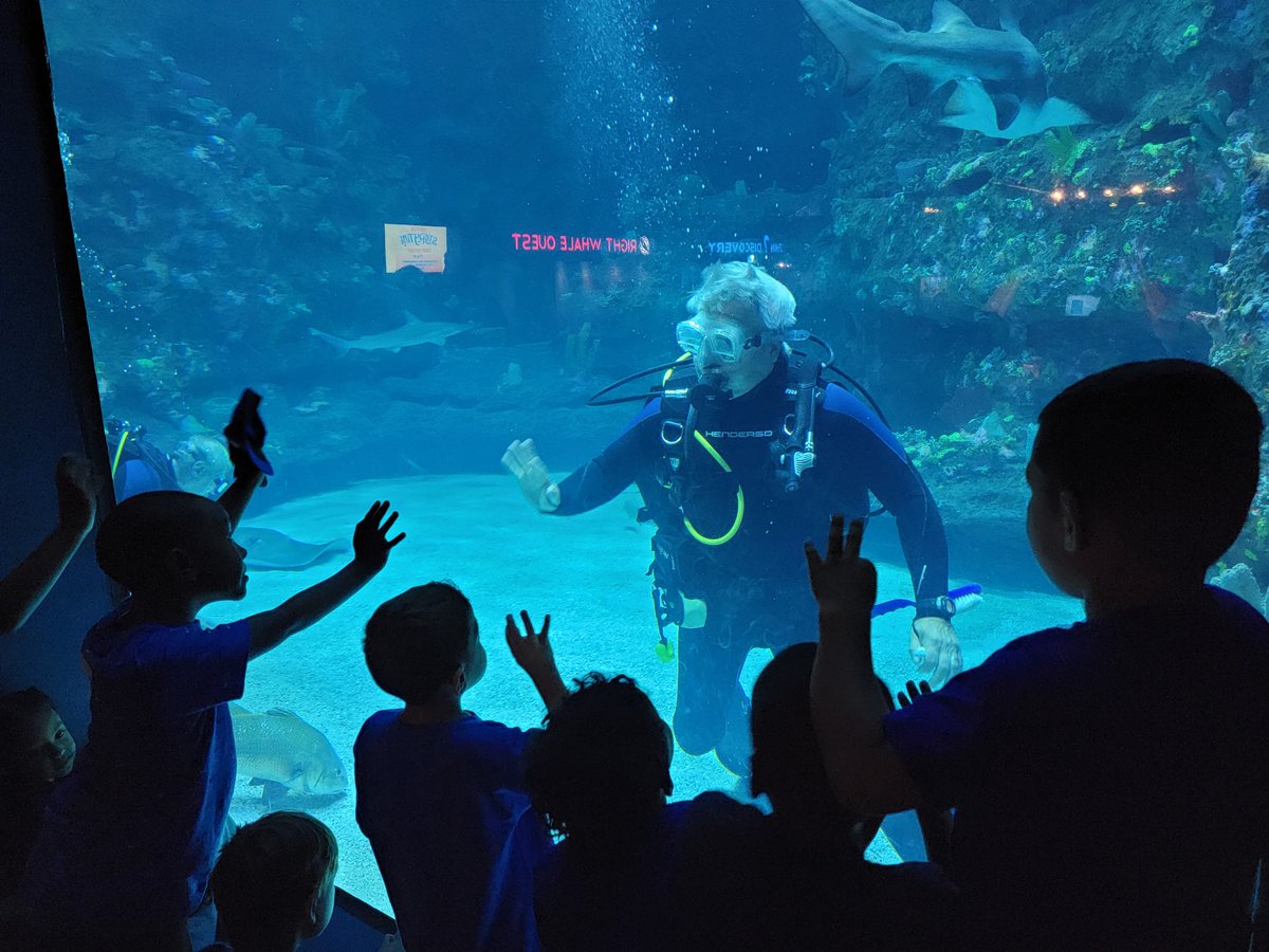 The International School at Gregory tweet media