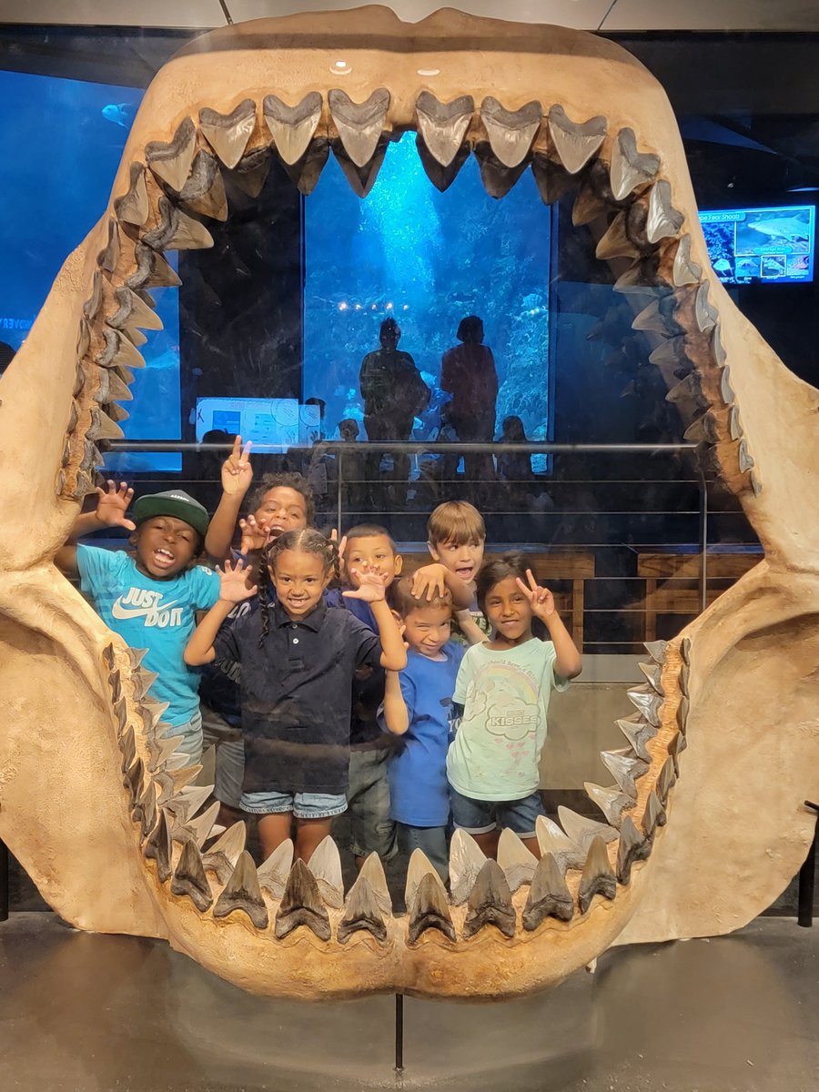 Kinder students enjoyed their trip to the NC Aquarium at Fort Fisher! Kindergarten students enjoyed their trip to the North Carolina Aquarium in Fort Fisher!