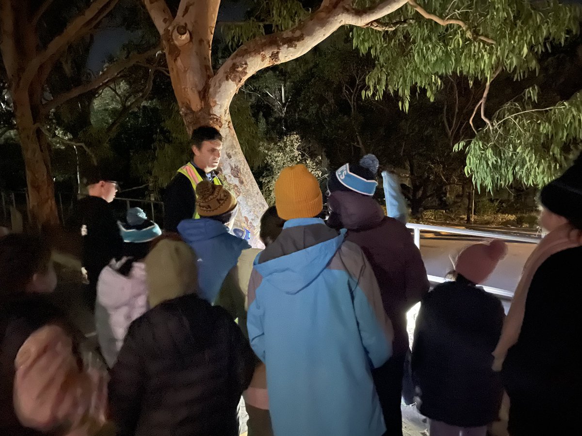 StDomsCE's tweet photo. Night walk in the Australian National Botanic Gardens 🌿🌖 https://t.co/jUqnj7bOj0