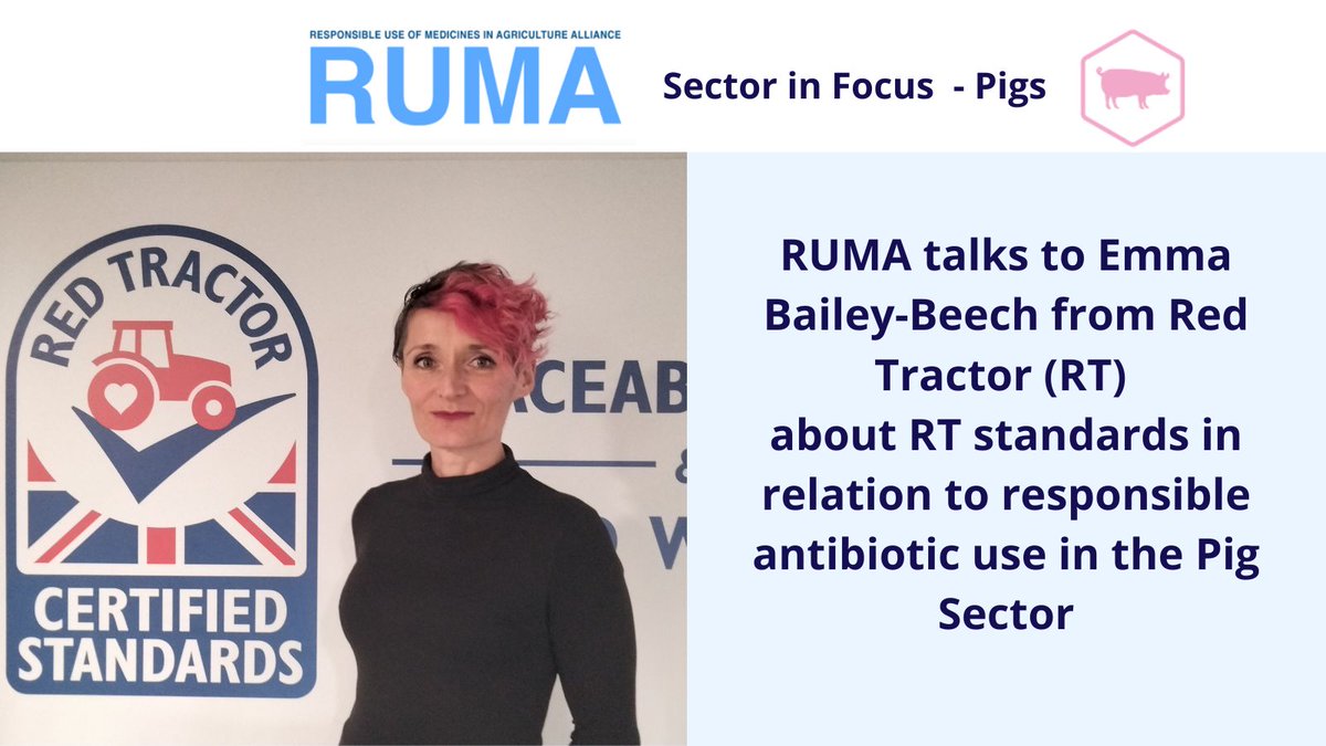 In the 4th part of our focus on the Pig sector's antibiotic stewardship work, RUMA speaks with Emma Bailey-Beech from @RedTractorFood who shares details about RT standards in relation to responsible antibiotic use in the Pig Sector. bit.ly/3NRwhsA @NatPigAssoc @TheAHDB