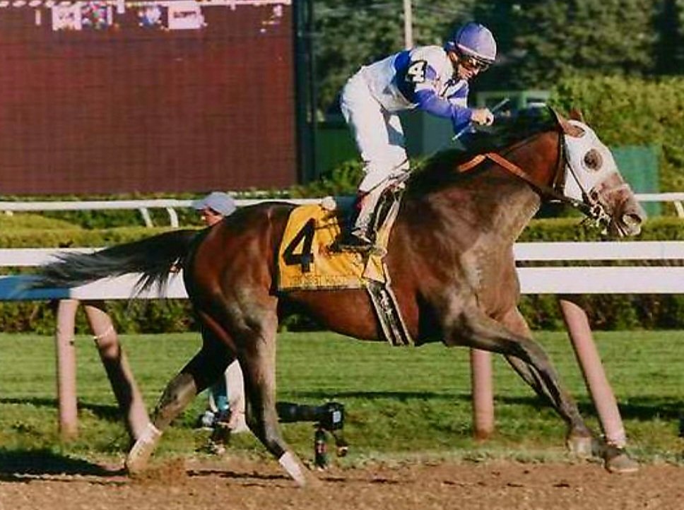 HORSERACING1002's tweet photo. TEN MOST WANTED🇺🇸2000
(DEPUTY COMMANDER - WANTED AGAIN BY CRYMINAL TYPE)
#TenMostWanted
B/ Jim H. Plemmons (Ky) Feb 24, 2000.
O/ Chisholm,Jarvis,Reddam.
T/ W. A. Dollars
FTSAUG $70,000
FTFFEB $145,000
13-5-3-1---1,718,460
Travers S G1, Super Derby G2, Illinois Derby G2, https://t.co/rC7HkfLheV