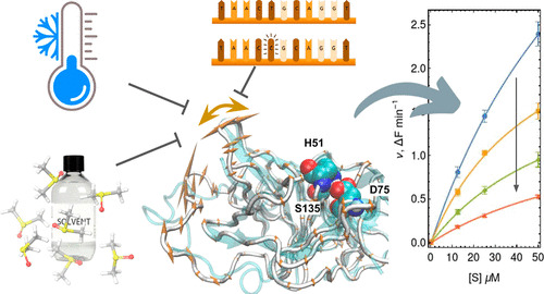 JCIM & JCTC Journals tweet media