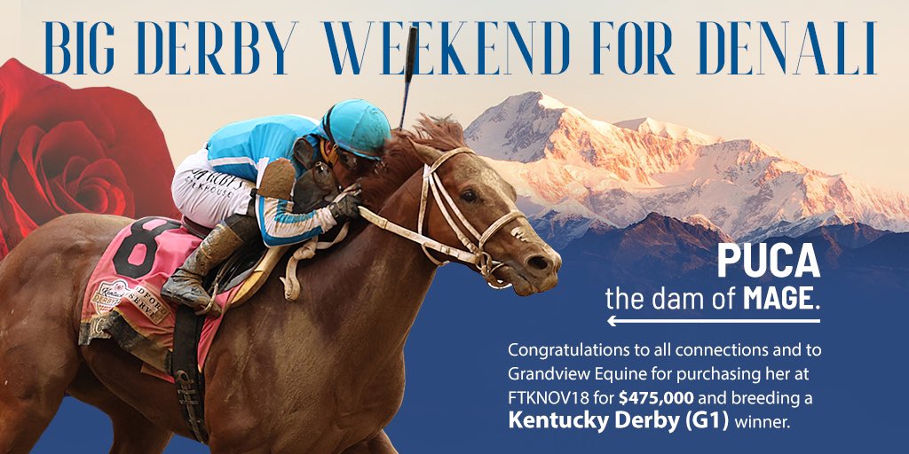 Big Derby weekend! We sold Gambling Girl as a yearling, who was runner-up in the G1 KY Oaks 🌸 and we sold the dam of Mage, winner of the G1 KY Derby 🌹. Congrats to all connections of these two outstanding horses!

#fridayafternoonhorses #saturdayafternoonhorses #denalisalesgrad