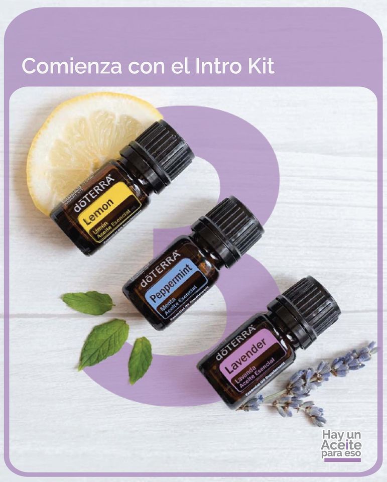 essentialpanama tweet media