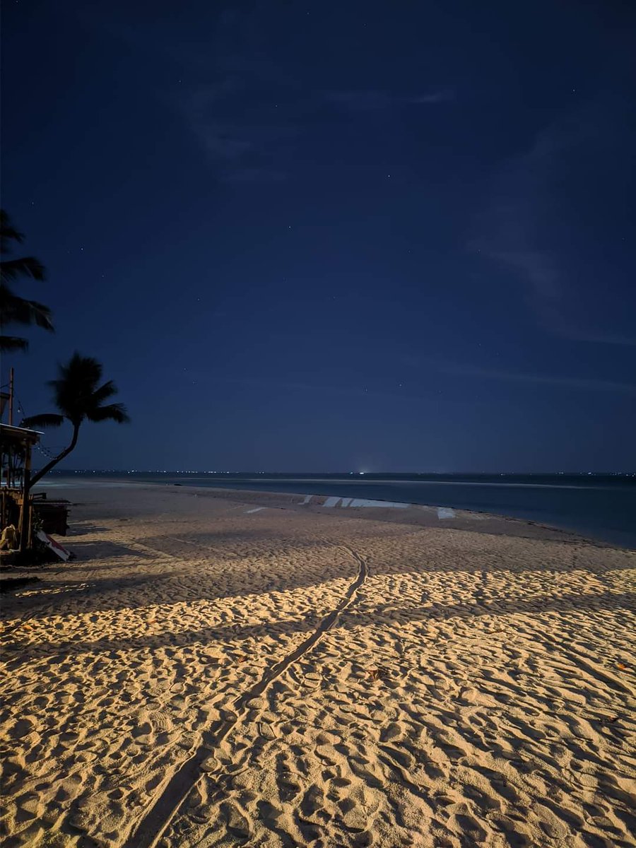 diorvxa's tweet photo. just wanna sit in front of the sea at night https://t.co/jr1EIFXvs7