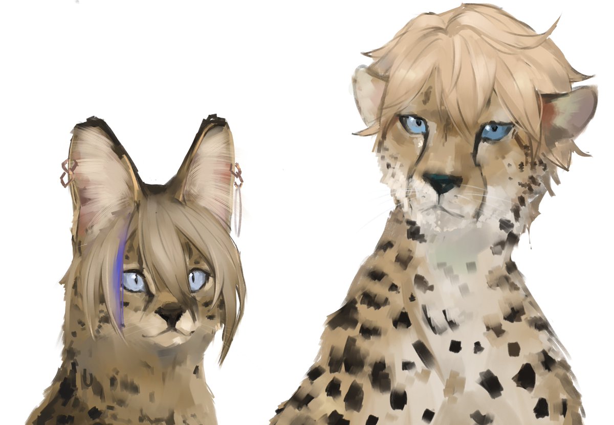 I love these two

#honkaistarrail #スターレイル
#serval #gepard #hsr