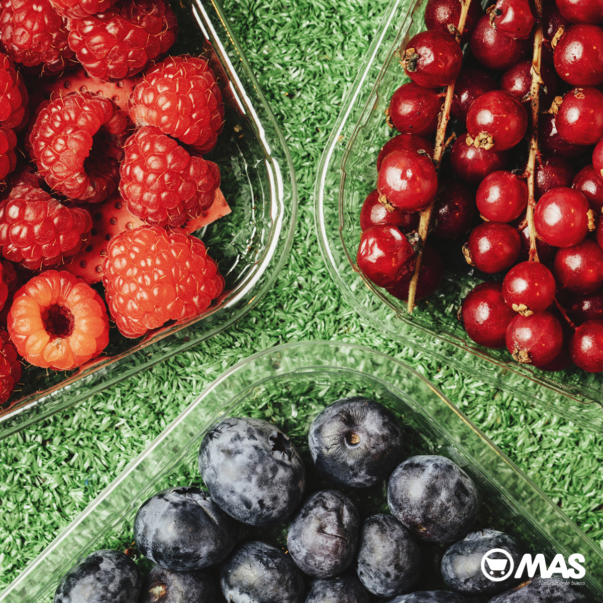 SupermercadoMAS's tweet photo. 5% de descuento para los socios del Club MAS en fresas, arándanos y frambuesas. 🍓🫐
Disfruta de este descuento hasta el 31 de mayo en todas nuestras tiendas y en https://t.co/WHsVS3D8yF
https://t.co/hrIIWYfqC0
#presumedefrescos #descuentos #frutosrojos #ClubMAS https://t.co/5qAjiX1djk