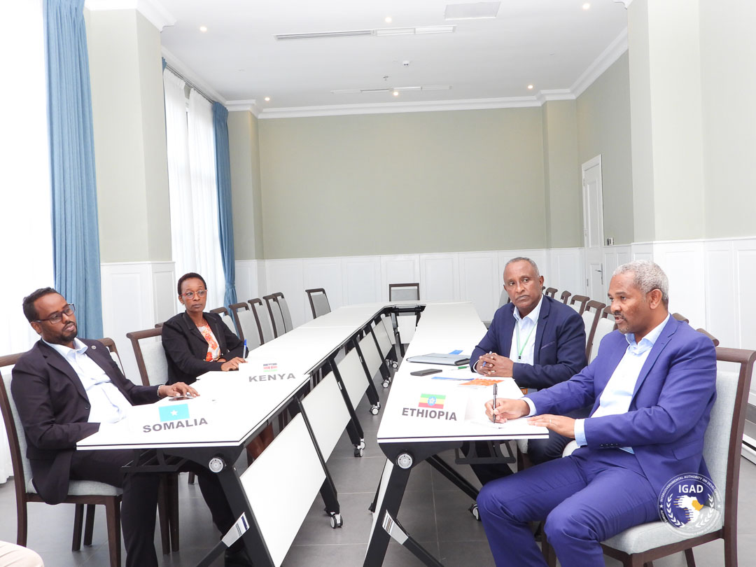 IGAD Secretariat tweet media