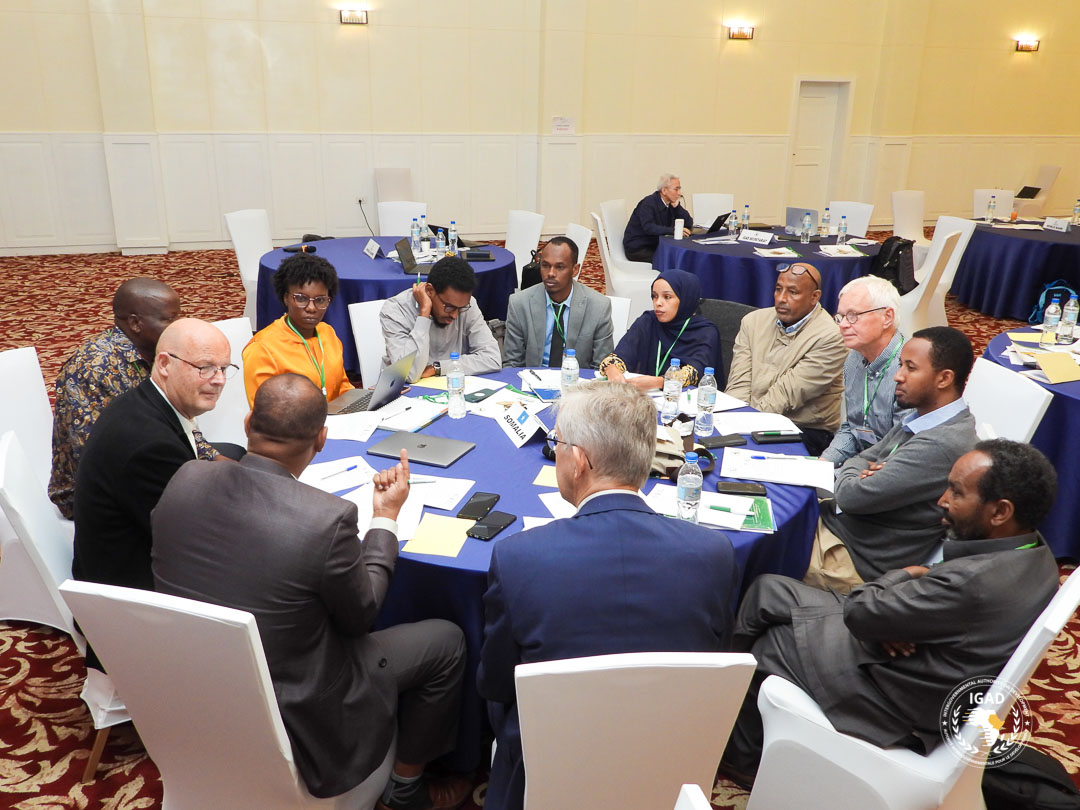IGAD Secretariat tweet media