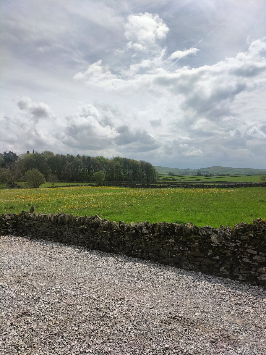 Ryan Walker tweet media