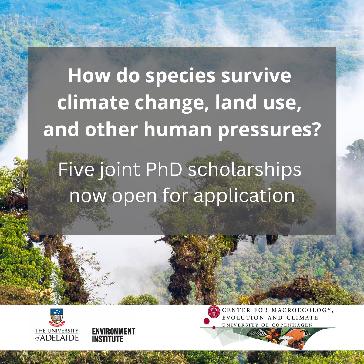 PHD SCHOLARSHIPS OPEN FOR APPLICATION📢  Five joint #PhD scholarships in macroecology &amp; biodiversity conservation, established btw. <a href="/UniofAdelaide/">Uni of Adelaide</a> &amp; CMEC/<a href="/koebenhavns_uni/">Københavns Uni</a>, supervised by <a href="/DamienFordham/">Damien Fordham</a> &amp; <a href="/Carsten_Rahbek/">Carsten Rahbek</a>. Deadline 3 July 2023 👉 scholarships.adelaide.edu.au/Scholarships/p…