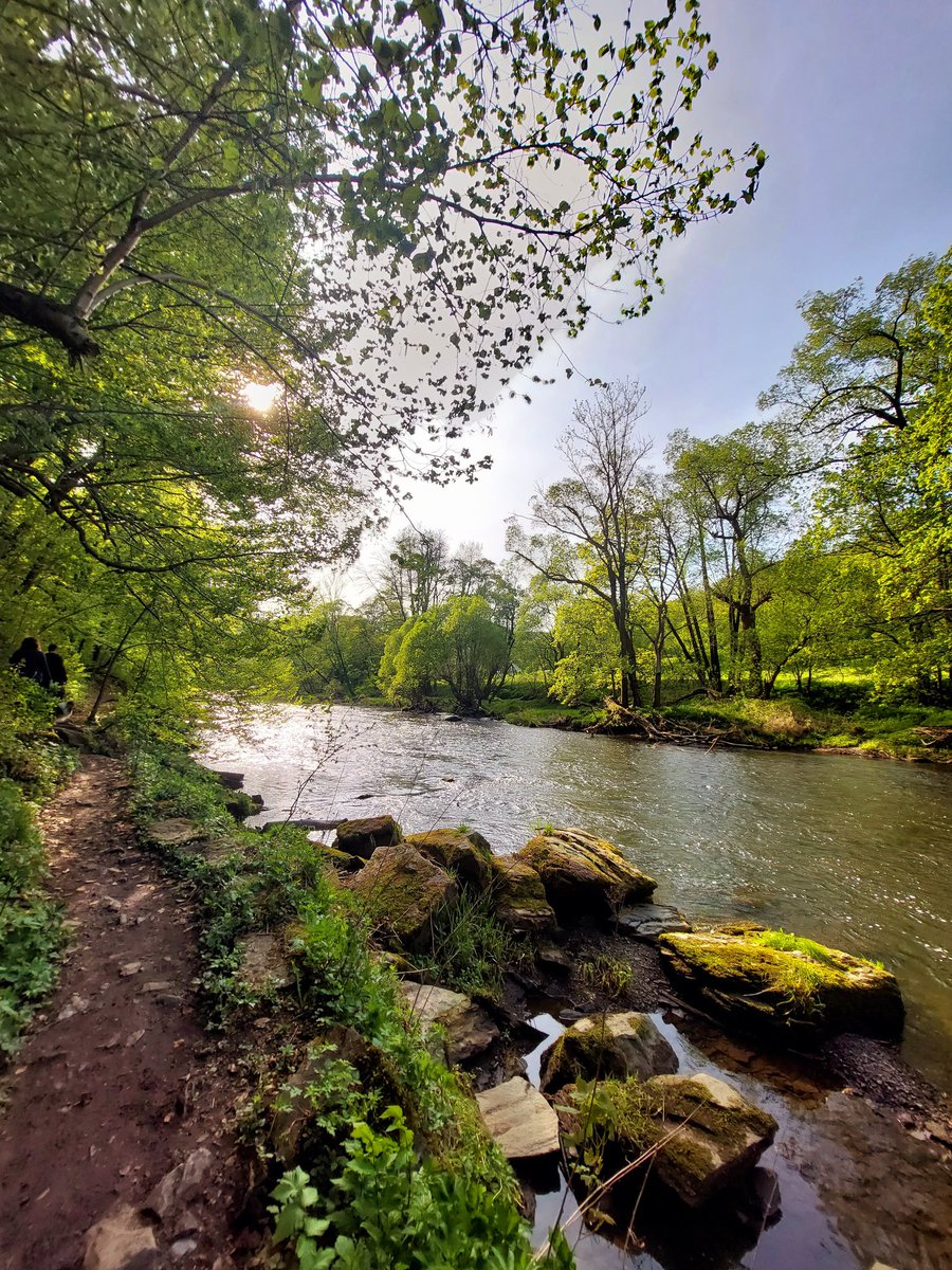 SortJindrich's tweet image. Odpoledne v Podyjí ☀️ Nachmittag im Thayatal 🌿
@NPPodyji @NP_Thayatal @Visit_Czechia @amazingczechia