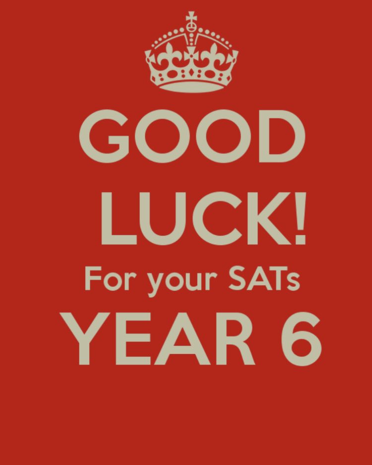 Mr Brown and Milo the wonder dog (@mrbrown_milo) on Twitter photo 