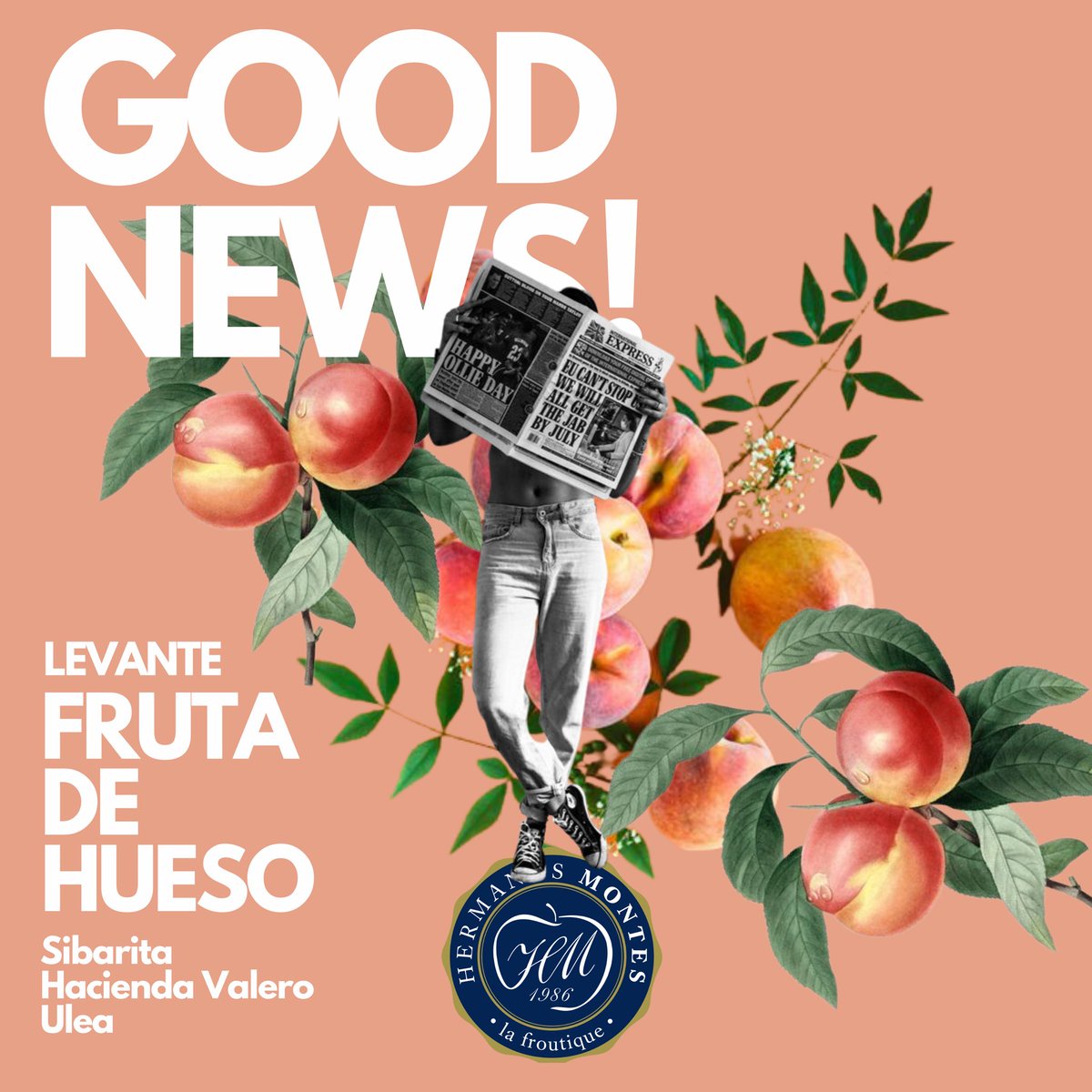 Os traemos una selección de la mejor fruta de hueso del Levante! <a href="/sibarita/">sibarita</a>.fruits, @frutasuleasl, @haciendavalero … las marcas más TOP con el producto más COOL! 
.
Ya disponible en Hermanos Montes
.
#frutadehueso #frutadehueso🍑 #mercamadrid #mercamadrid10k