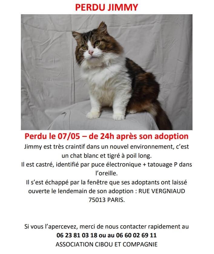DelanoueMarie's tweet photo. @jerome_coumet https://t.co/OctzoWuVAL
