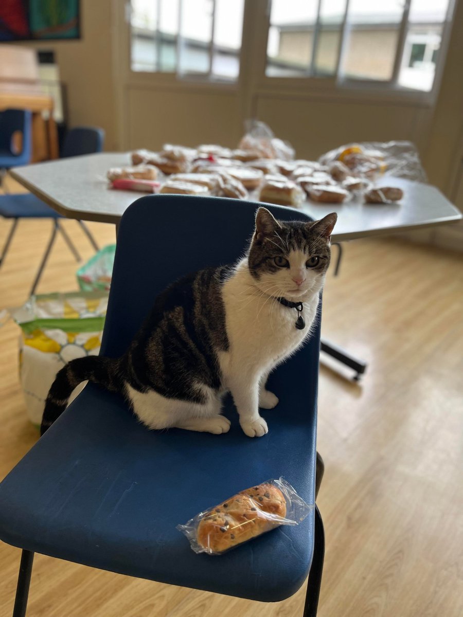 Checking out the year six special SATS breakfast.
Good luck to all the little people starting their tests today.
Who needs a test? We know you're all brilliant anyway! 🐾❤
#sats2023 #Catsoftwitter #cats #Hedgewatch