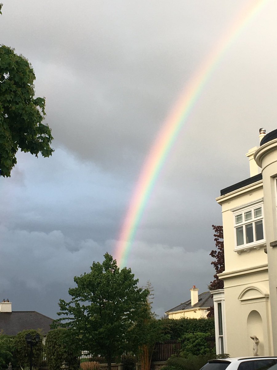 ShaneMacGowan's tweet photo. Somewhere under the rainbow there’s a Crock of Gold https://t.co/Agg6X5xMOD