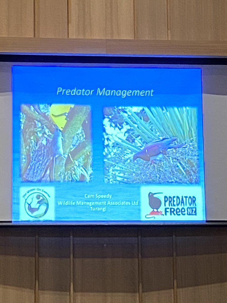 cdmcconnochie's tweet photo. A different type of talk tonight on how to be a predator trapping ninja. 
Time to catch some rats! https://t.co/dWJzaaP2bL