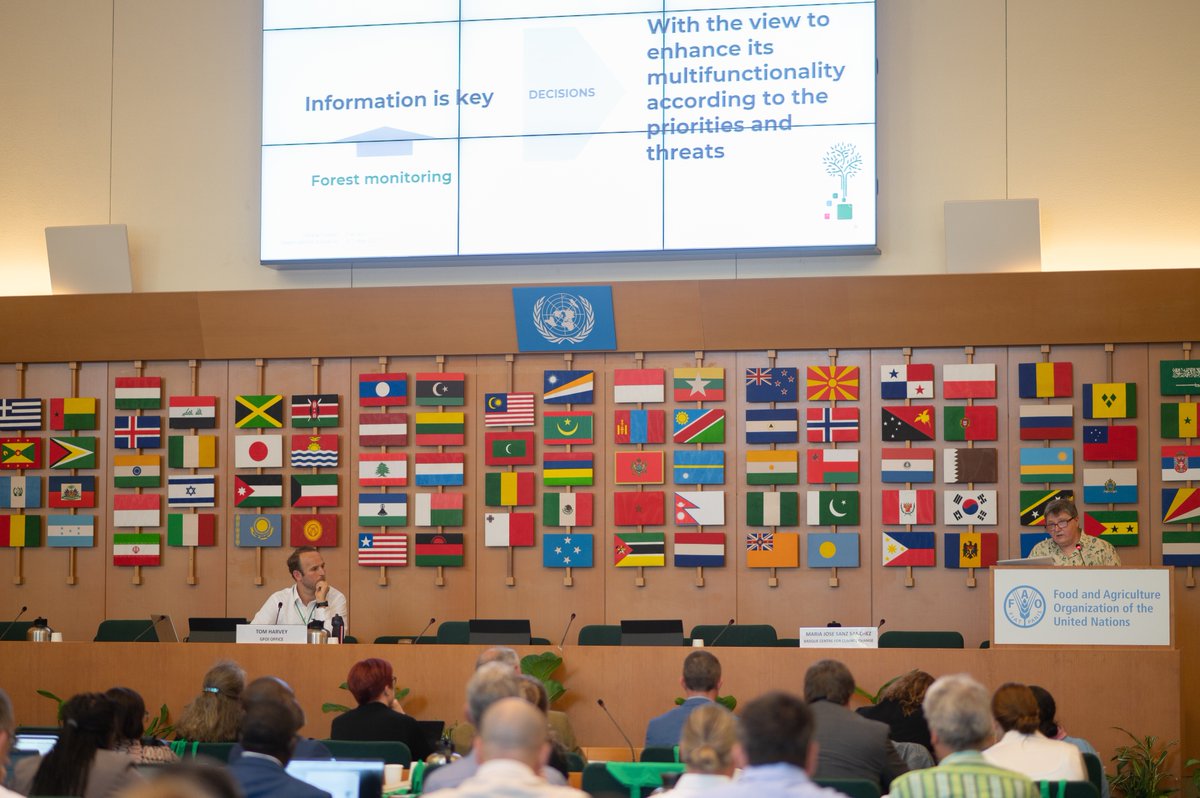 SoyForestal's tweet image. 🌳💻 &quot;Forest information is key&quot;, María José Sanz, Scientific Director @BC3Research at #GFOI2023 

#SoyForestal #ForestData #DataForest