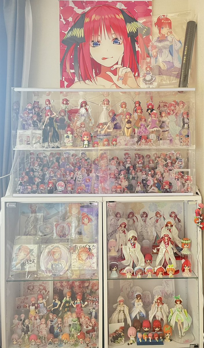 しょう🦋🎤 tweet media