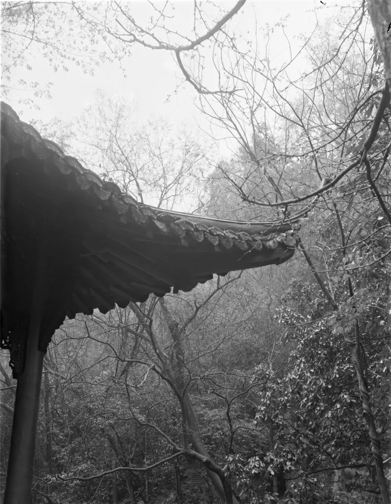CAAofficialEN's tweet photo. An exhibition of the #photography class of the Class of 2021 entitled “Lighting – Where I Live” was held on the Xiangshan Campus of the #chinaacademyofart in April, presenting works in which students recorded historical and cultural relics through photographs. #Art #StudyatCAA https://t.co/zXG6mJJvaL
