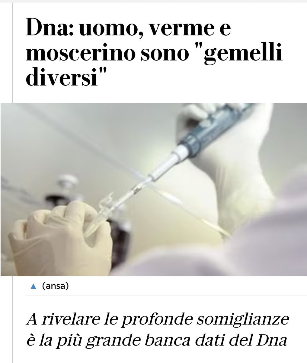 mangiamy's tweet photo. @RobertoBurioni @pavolsizz Sono esseri umani anche i moscerini, quindi, Burioni? https://t.co/5L5QJxr8u0
