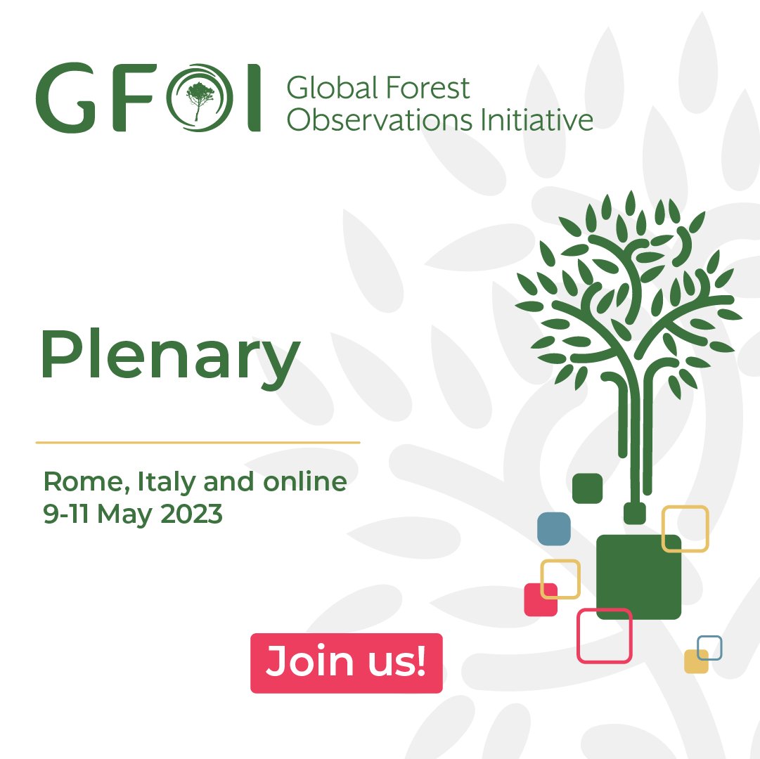 SoyForestal's tweet image. 📢 You can follow the #GFOI2023 online.

🛰️Agenda bit.ly/3p4rgml
🌍Side events bit.ly/42mZdwN

#SoyForestal #ForestData #DataForest #AIM4Forests