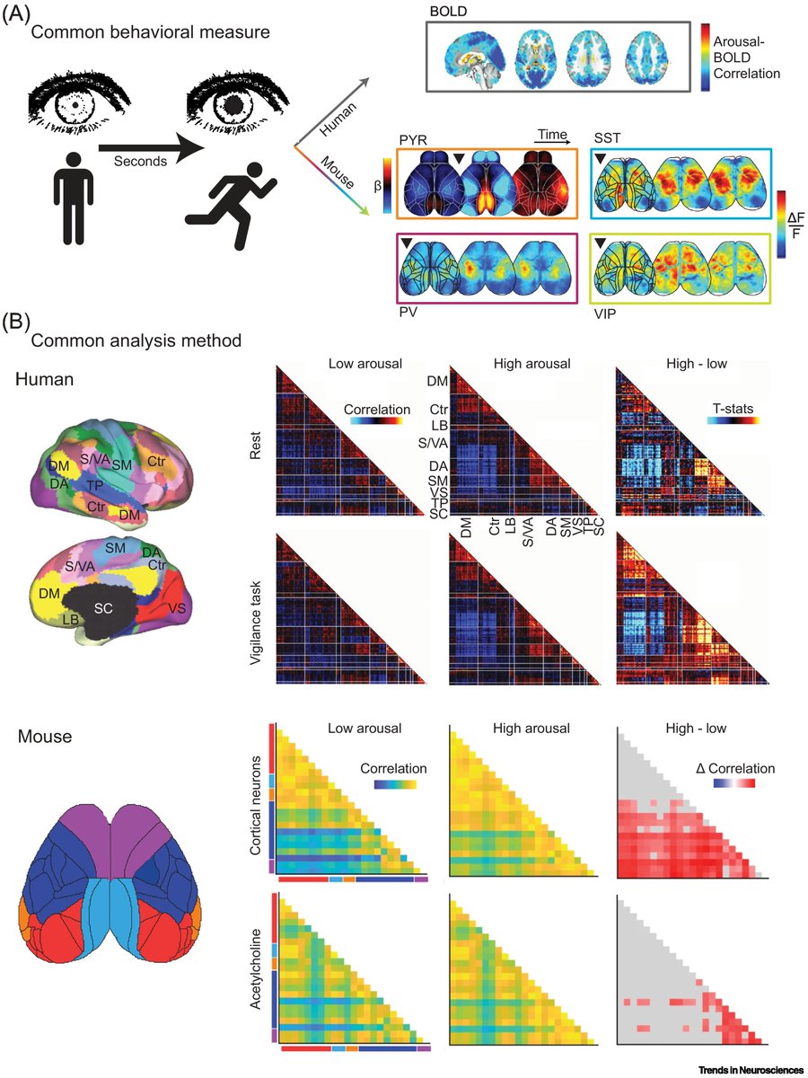 Trends in Neurosciences tweet media