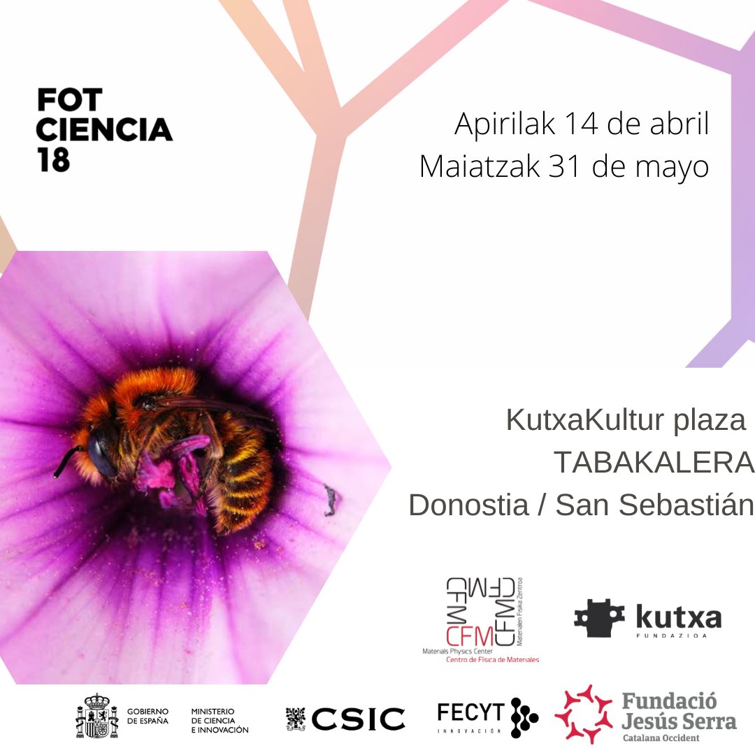 🥳👨🏻‍💻Muy Facil! Sorteamos 4 fantásticos catálogos de la edición de este año
1⃣ Síguenos en tweeter
2⃣ Dale a like a este post
3⃣ Retweetea este post 

#fotografia <a href="/CSICdivulga/">CSIC Divulga</a>