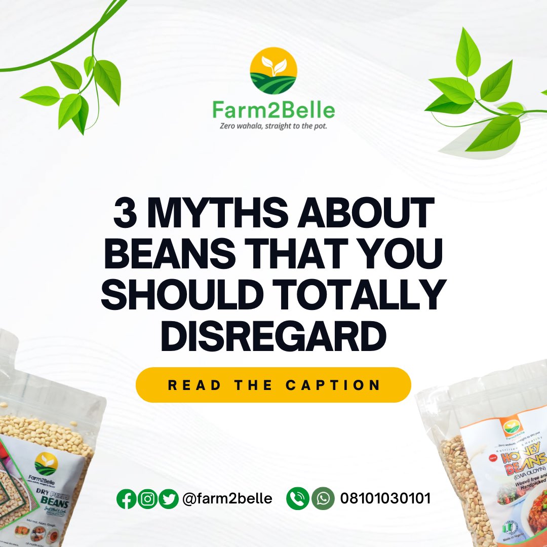 Farm2Belle's tweet photo. 👉🏻 Beans causes flatulence

This is a myth that has long been held by many. Beans is a high-carb food, and just like most high-carb foods, they have the tendency to cause gas in the stomach. It's not just peculiar to beans alone. https://t.co/bDlSRh27Po