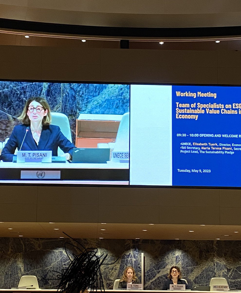 At the UN today for the 40th UN/CEFACT forum to speak about how global, open standards enable circularity, sustainability and transparency. Congratulations to the new chair Christian Hudson #giz <a href="/ElisabethTuerk/">Elisabeth Türk</a> and Maria Teresa Pisani