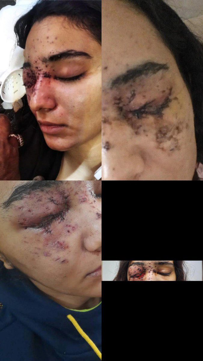 ''Hestia'' tweet media