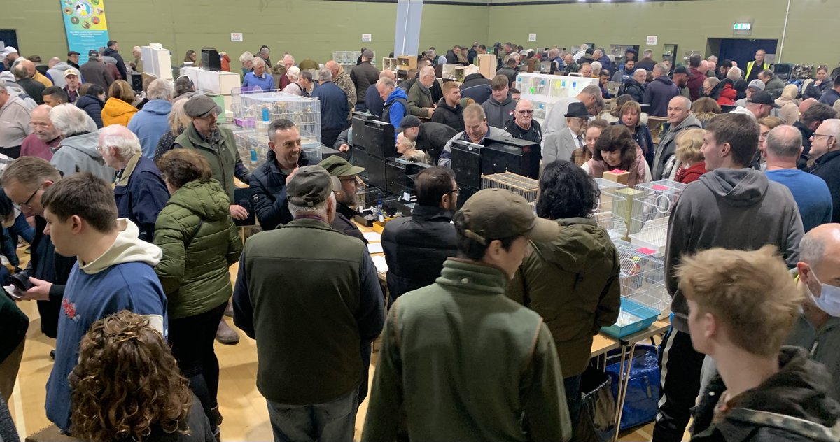 cambirdsale's tweet photo. The next @cambirdsale takes place on 𝐒𝐮𝐧 𝟐𝟖𝐭𝐡 𝐌𝐚𝐲 (11am) @ Milton Community Centre, Cambridge, CB24 6BL.
Admission £5.
BOOK IN ADVANCE FOR 20% DISCOUNT &amp; PRIORITY ENTRY
Book now : https://t.co/MEWmH4DiPf
Table plan: https://t.co/taTW6wD9q3 https://t.co/u4hqn507gF